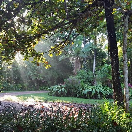 Diwan Fanpalm Creek Hideawayヴィラ エクステリア 写真